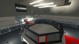 Ring MMA/UFC — мод GoreBox